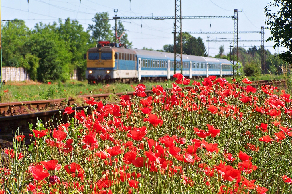 433 312 Dombóvár (2014.06.07)