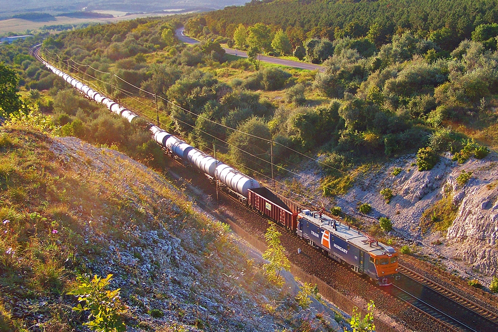 400 378 Szár (2014.08.21)02