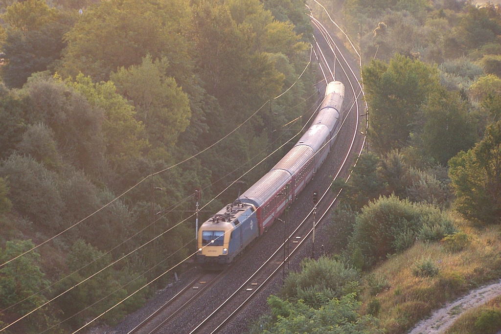 470 003 Szár (2014.08.22)