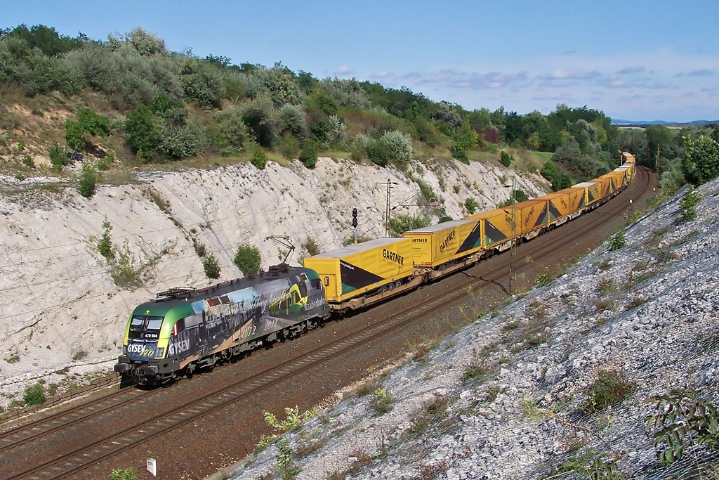 470 504 Szár (2014.08.21)