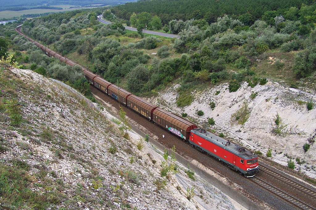 480 004 Szár (2014.08.23)