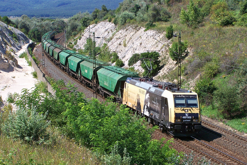 480 005 Szár (2014.08.22)01