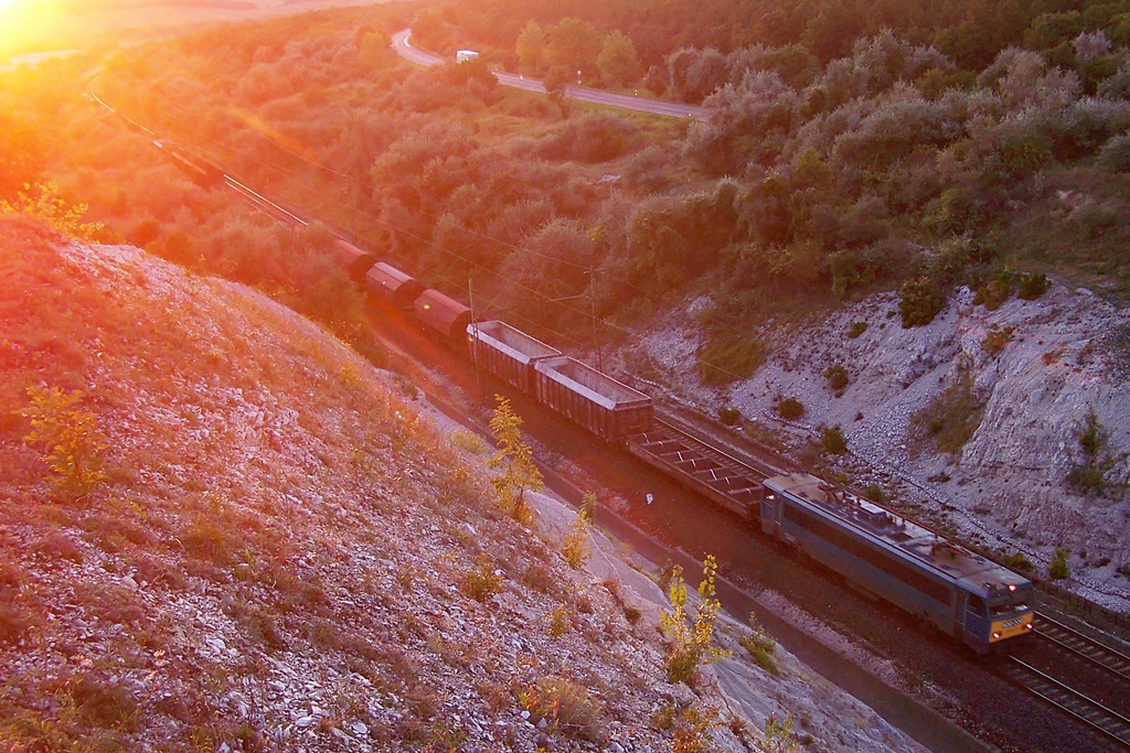 630 006 Szár (2014.08.21)