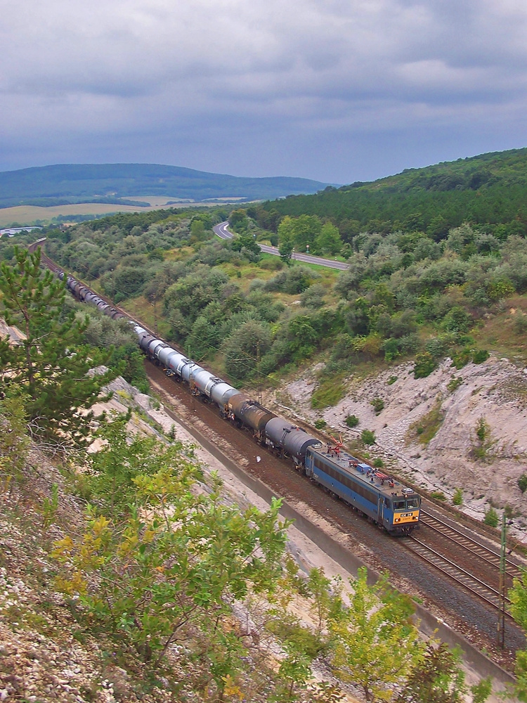 630 018 Szár (2014.08.23)