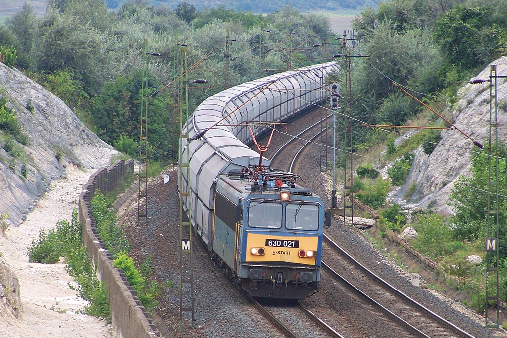 630 021 Szár (2014.08.23)