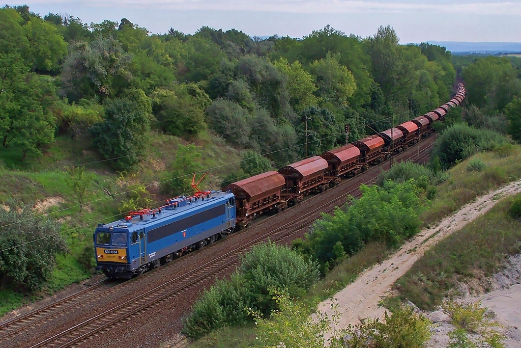 630 034 Szár (2014.08.22)01