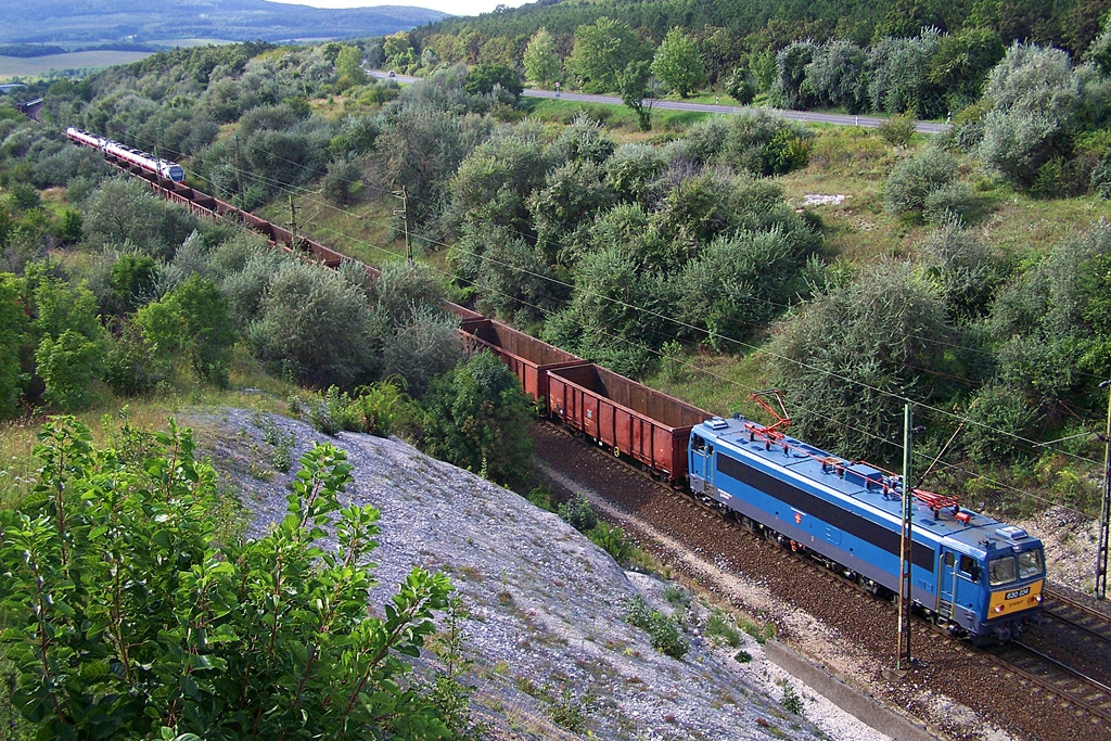 630 034 Szár (2014.08.22)02