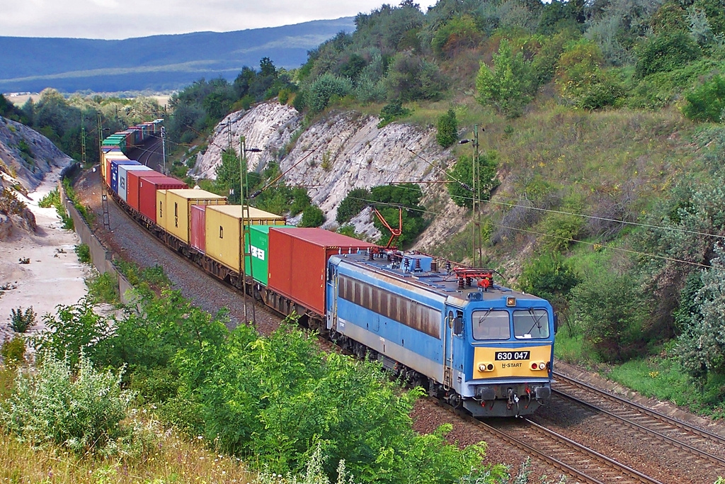 630 047 Szár (2014.08.21)