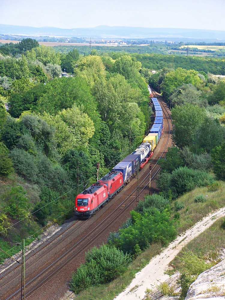 1116 001 + 255 Szár (2014.08.22)