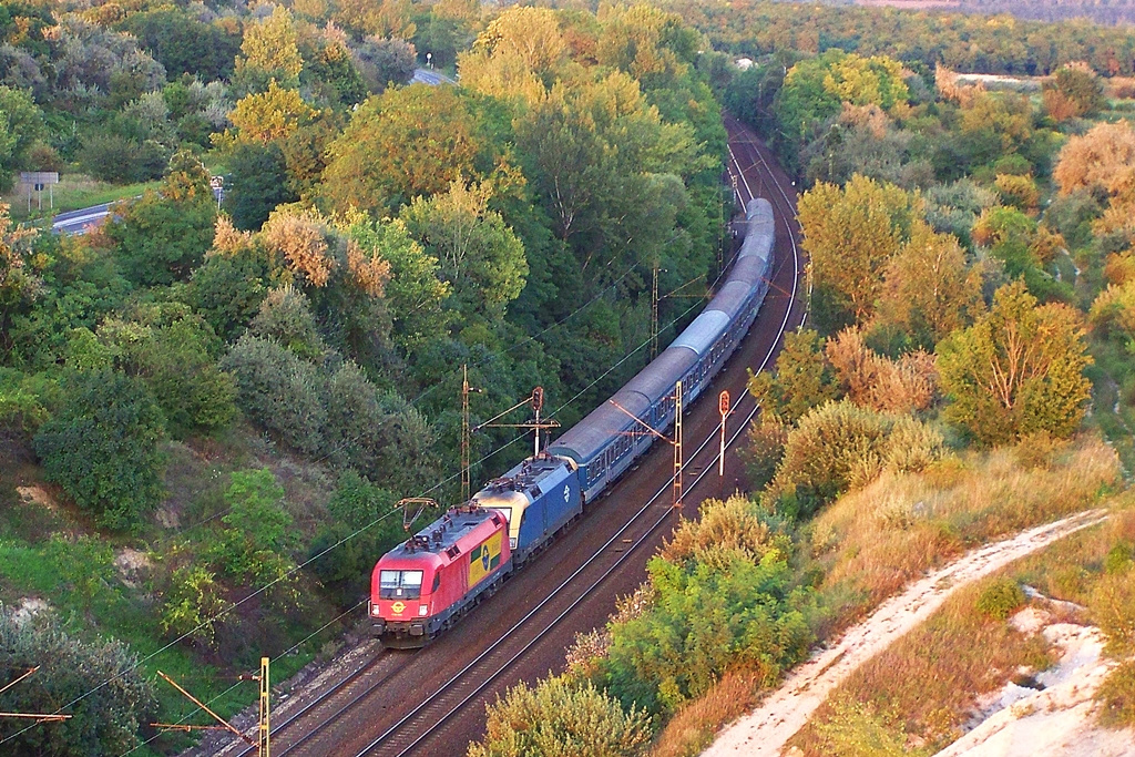 1116 063 Szár (2014.08.22)