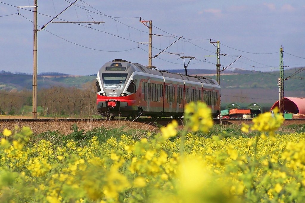 5341 010 Regöly (2015.04.19)01