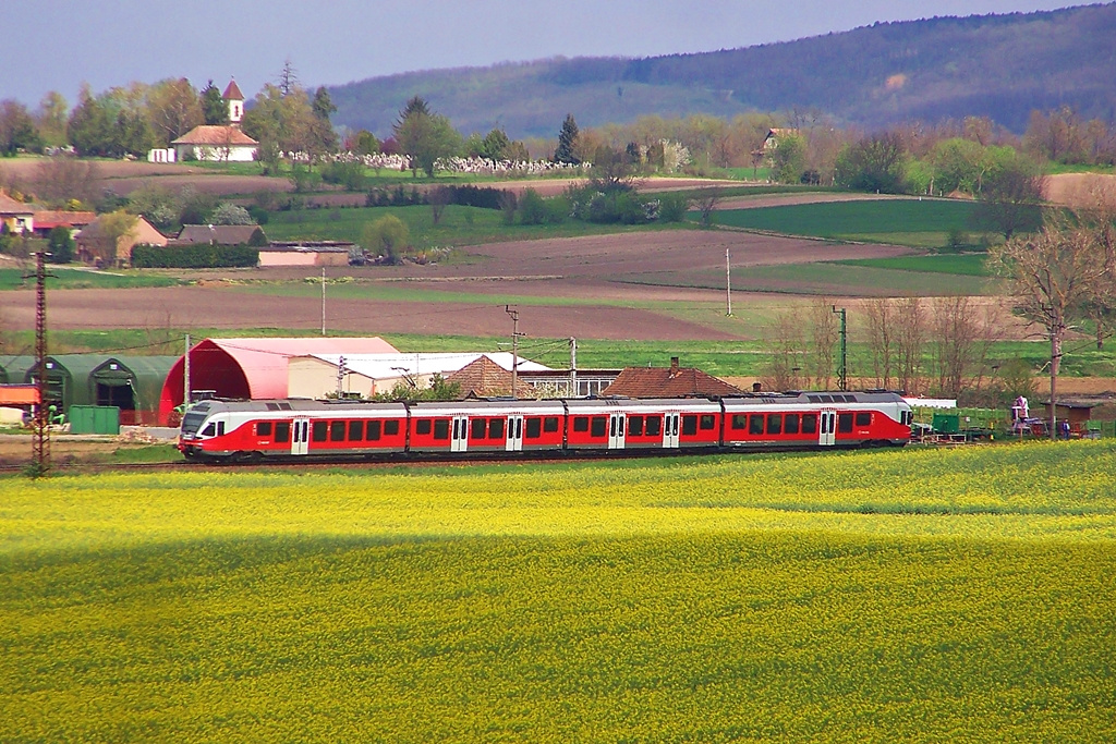 5341 047 Regöly (2015.04.19)06