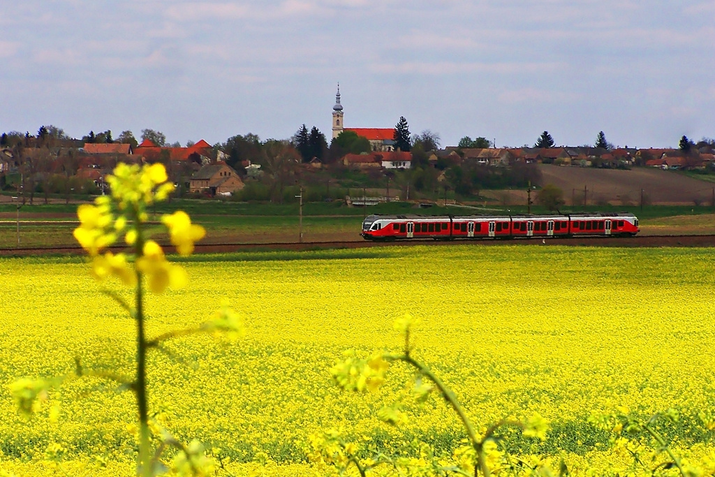 5341 056 Regöly (2015.04.19)01