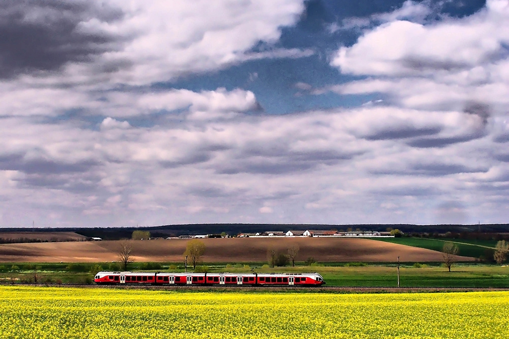 5341 056 Regöly (2015.04.19)02