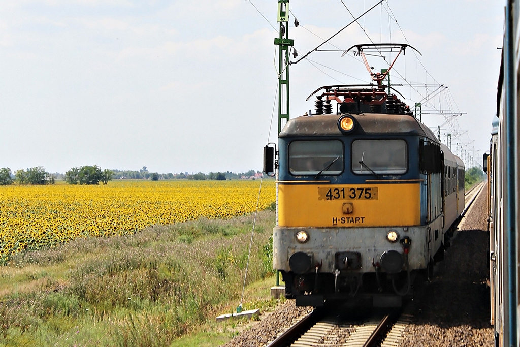 431 375 Gyoma (2015.07.16).