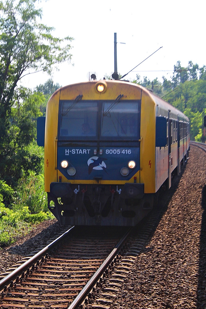 8005 416 Sülysáp (2015.07.16).