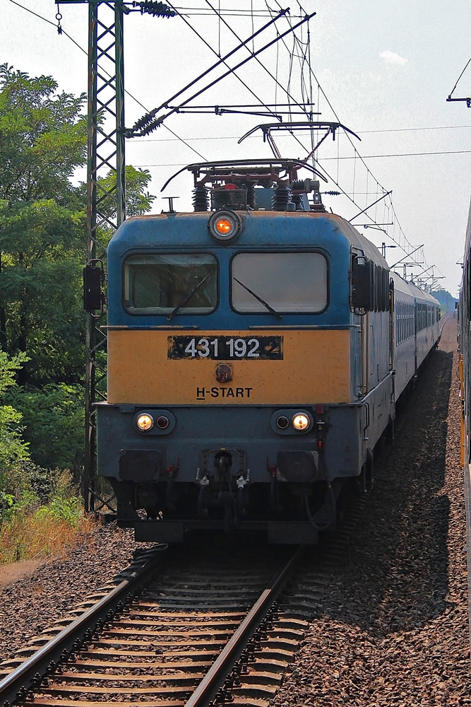 431 192 Ludas (2015.08.14).