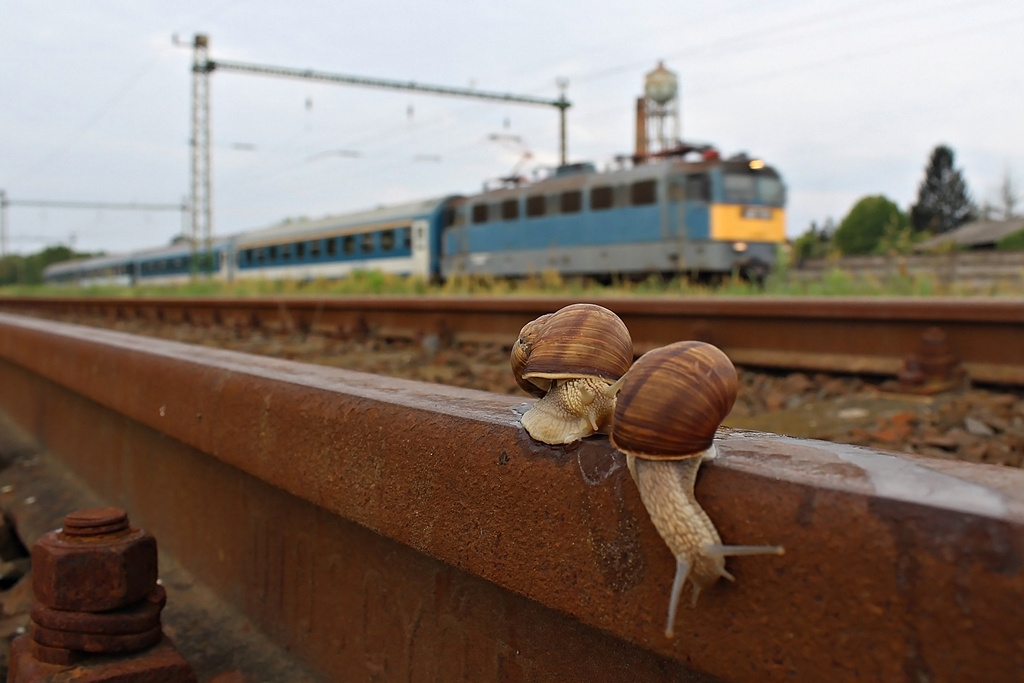 431 078 Dombóvár (2015.08.19).