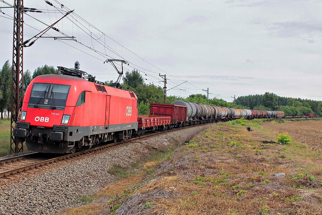 1116 001 Dombóvár (2015.08.19).