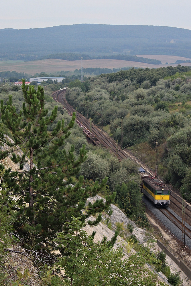 430 325 Szár (2015.08.25).01