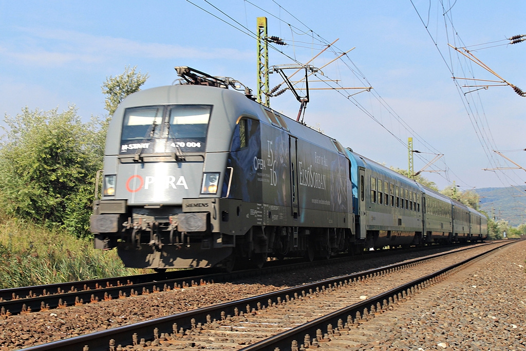 470 004 Szár (2015.08.24).01