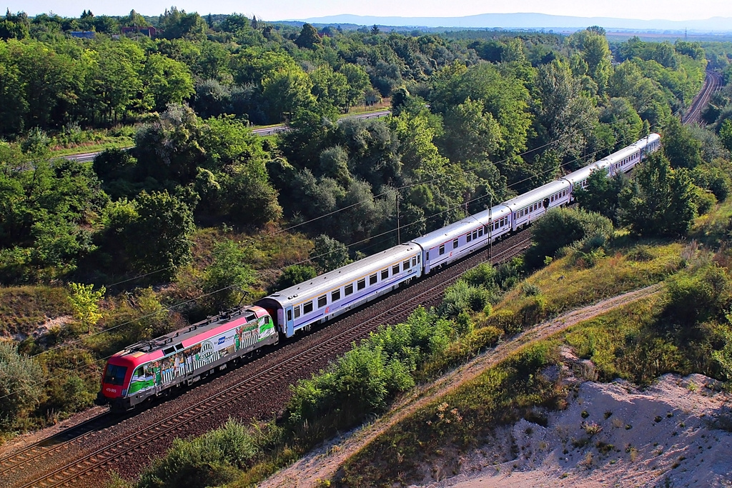 470 005 Szár (2015.08.26).