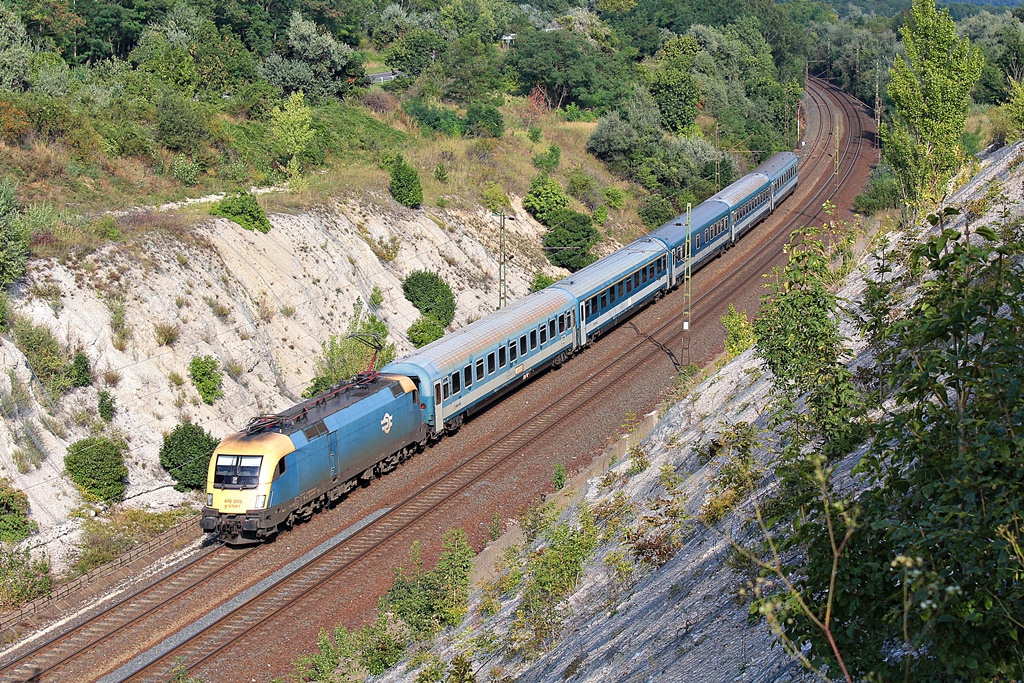 470 006 Szár (2015.08.24).