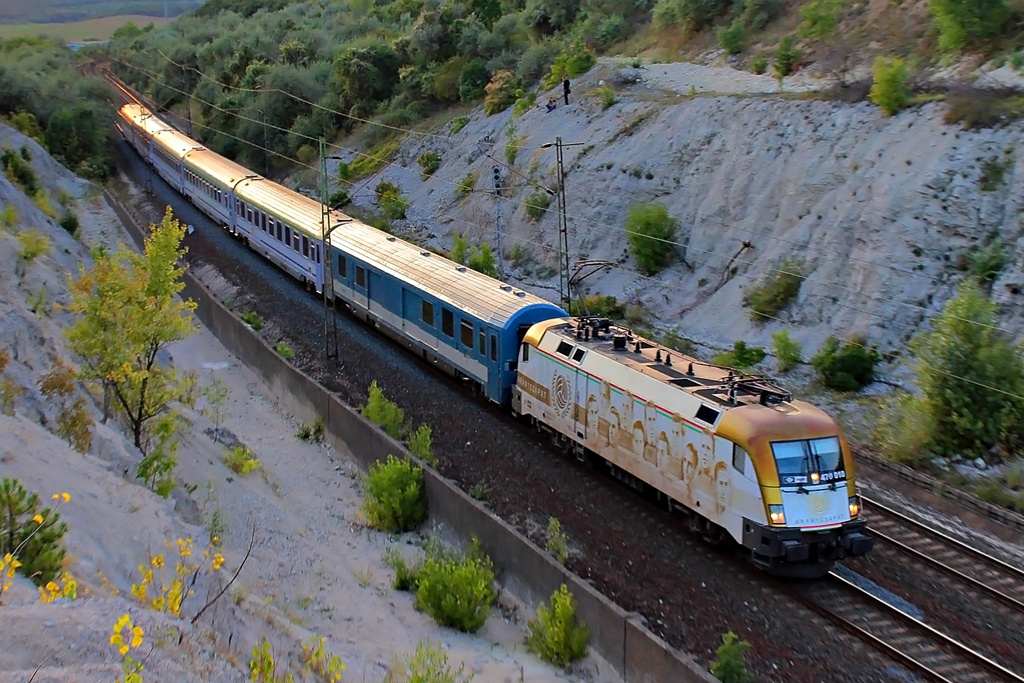 470 010 Szár (2015.08.25).02