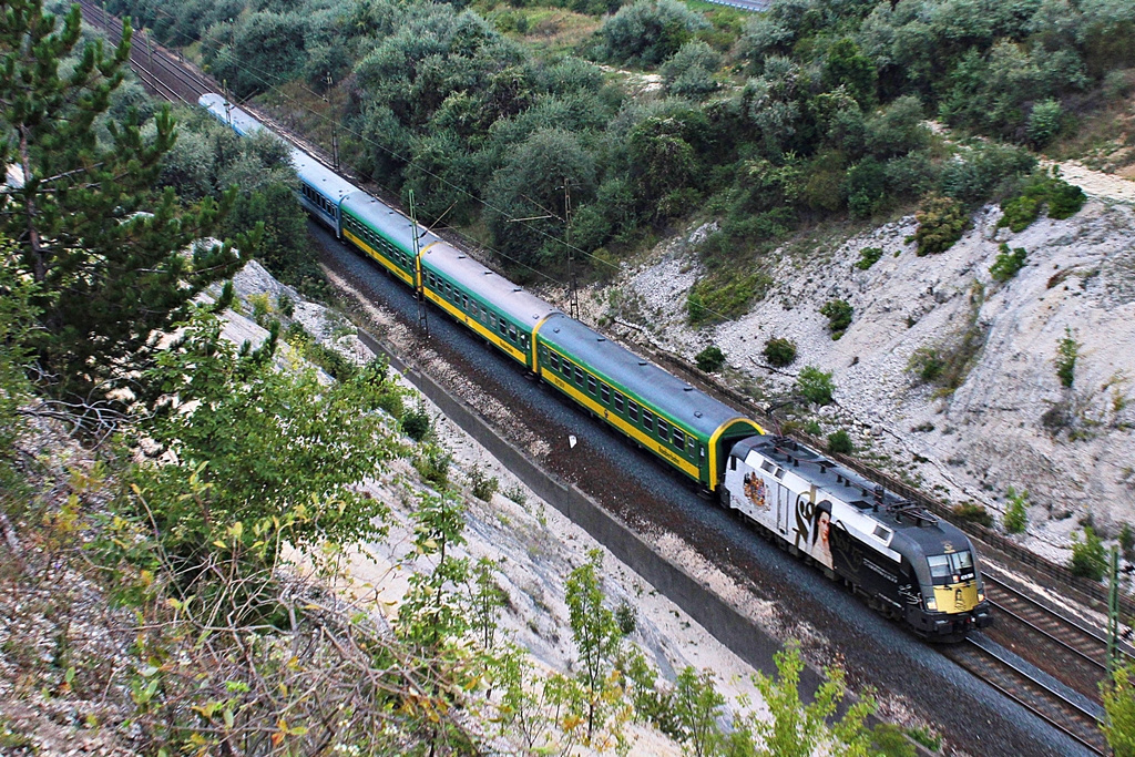 470 501 Szár (2015.08.25).01