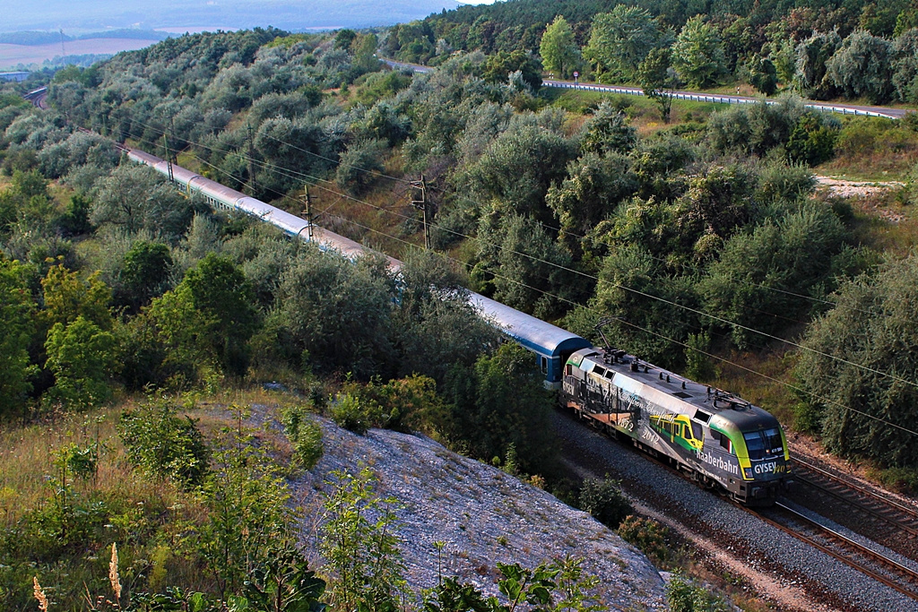 470 504 Szár (2015.08.24).