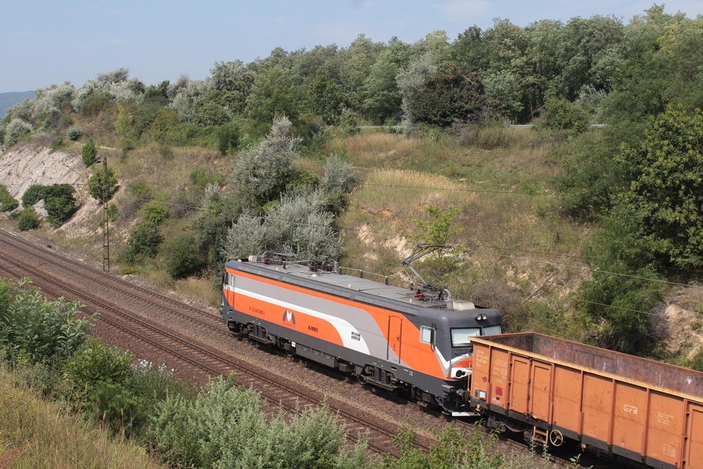 480 007 Szár (2015.08.24).