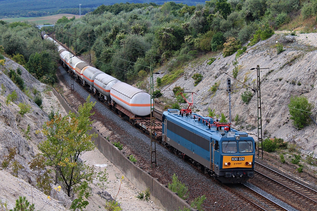 630 029 Szár (2015.08.25).