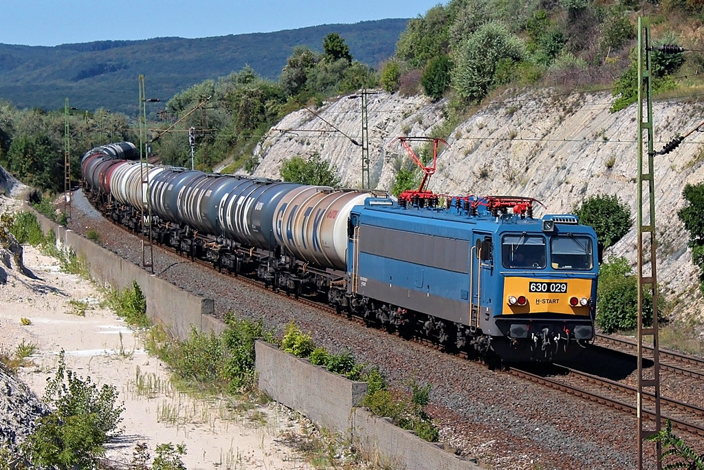 630 029 Szár (2015.08.26).