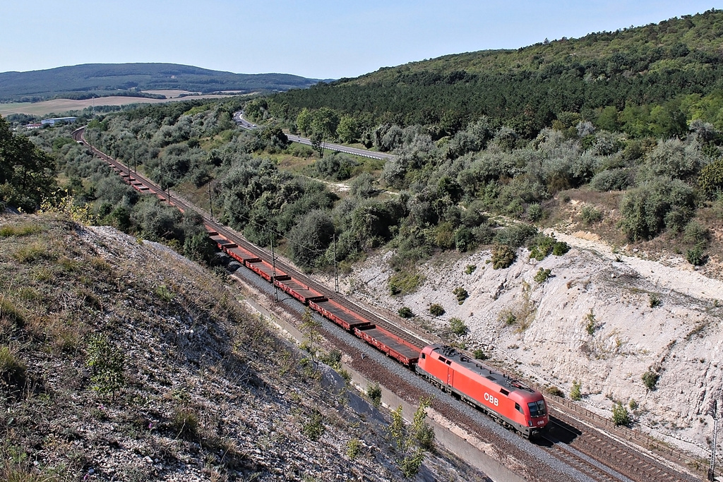 1116 002 Szár (2015.08.26).