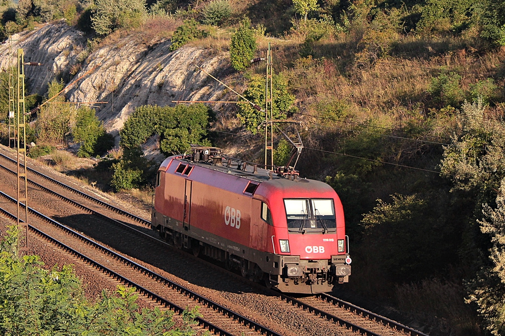 1116 013 Szár (2015.08.26).01