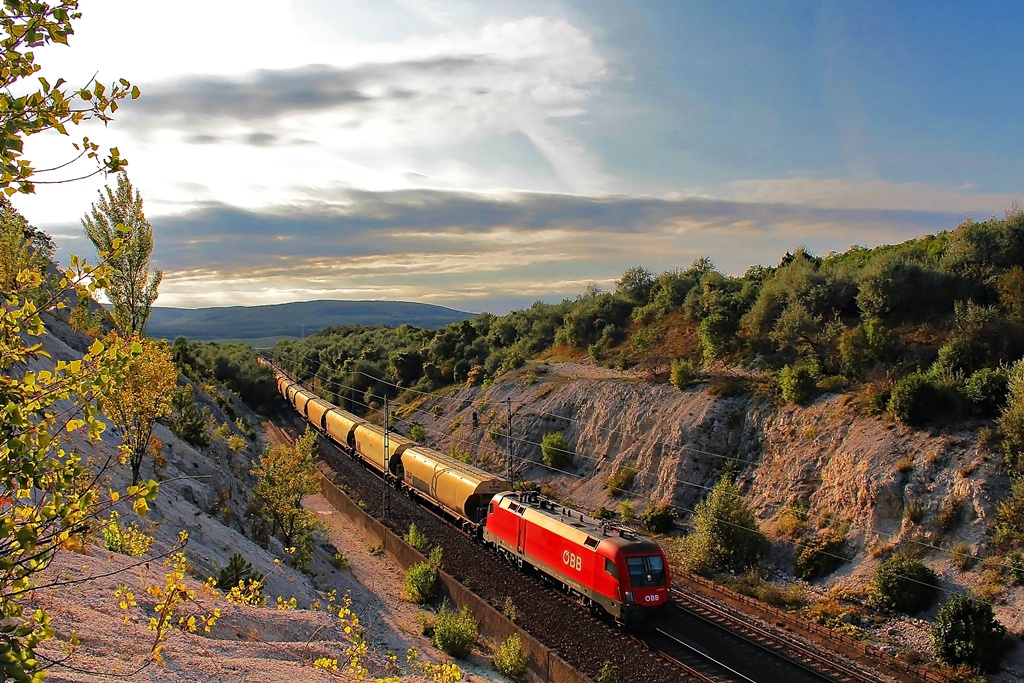 1116 017 Szár (2015.08.25).