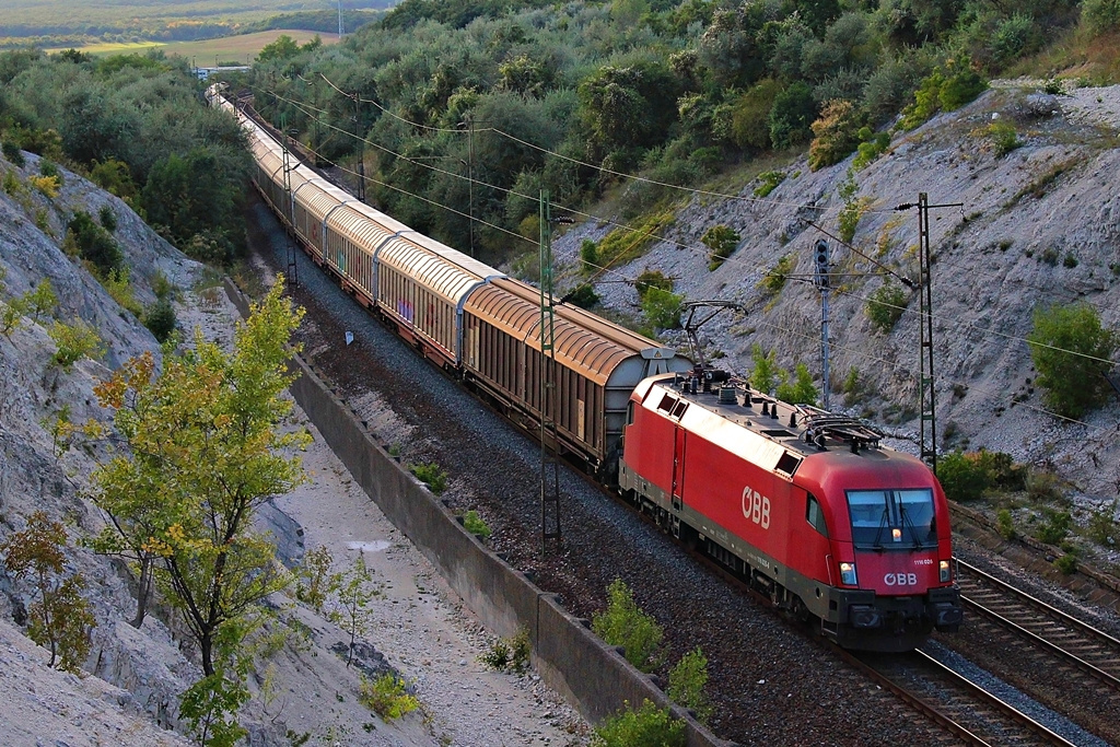 1116 022 Szár (2015.08.25).