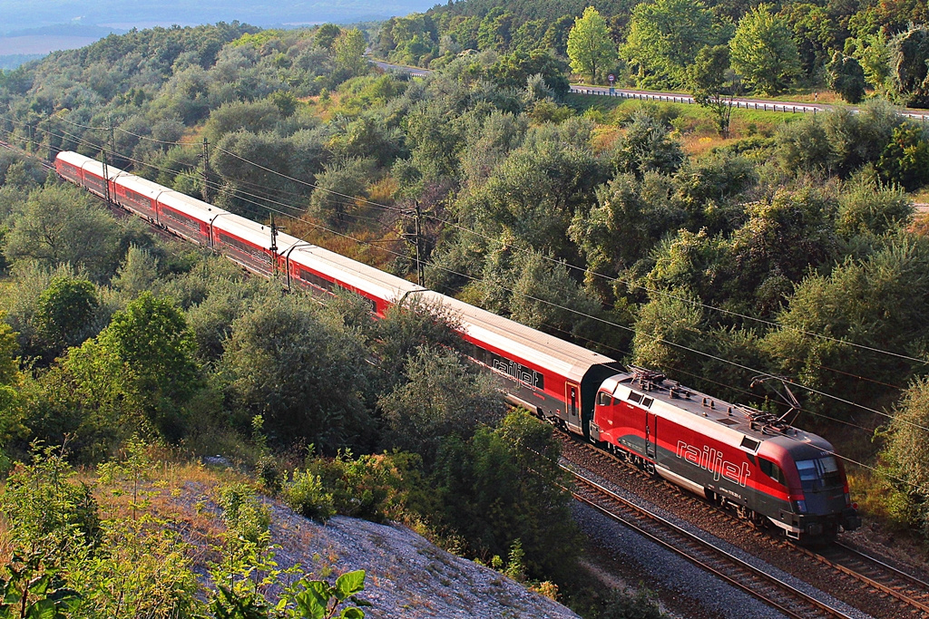 1116 201 Szár (2015.08.24).