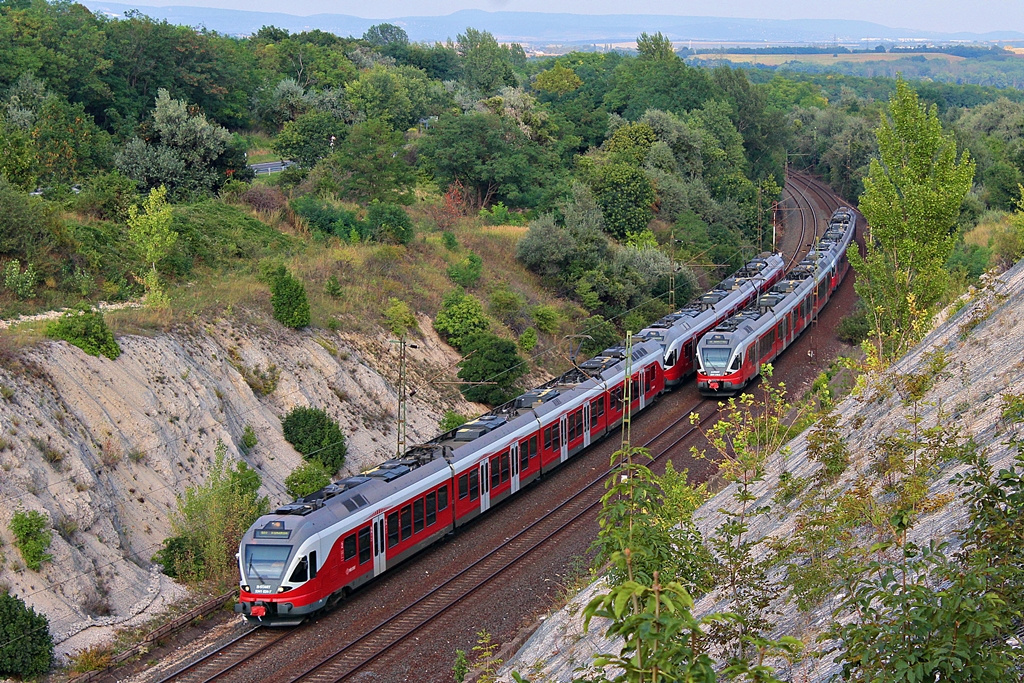 5341 024 Szár (2015.08.24).