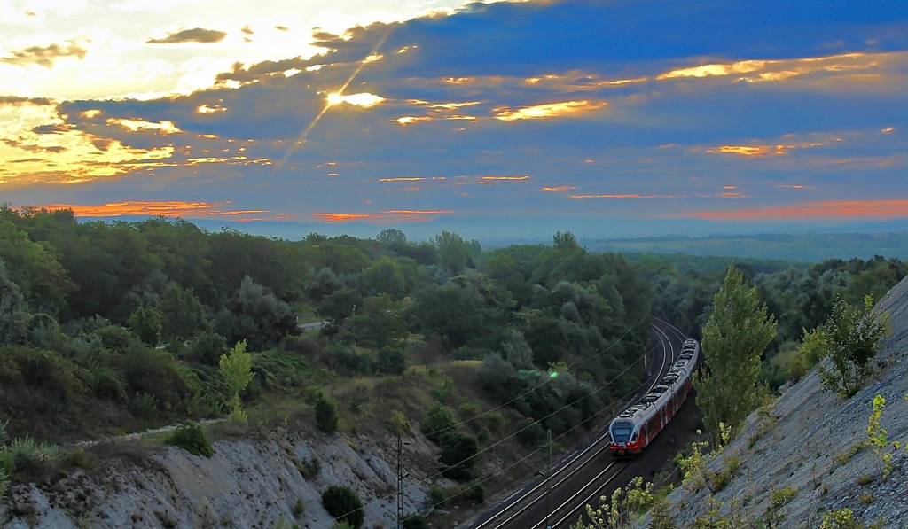 5341 038 Szár (2015.08.26).