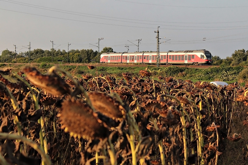 5341 015 Rétszilas (2015.09.20).