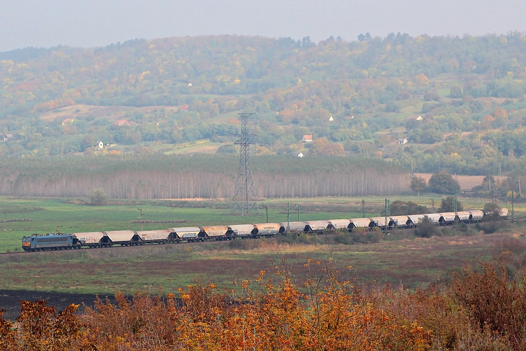 630 156 Dúzs (2015.10.23)01