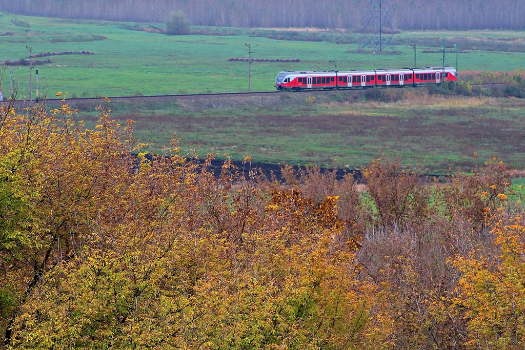 5341 020 Dúzs (2015.10.23)