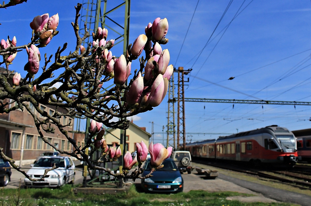 415 044 Dombóvár (2016.03.31).