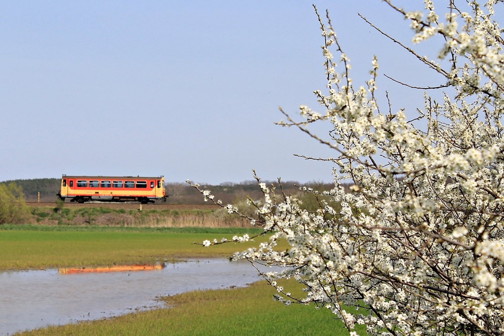 117 314 Dombóvár (2016.04.02).