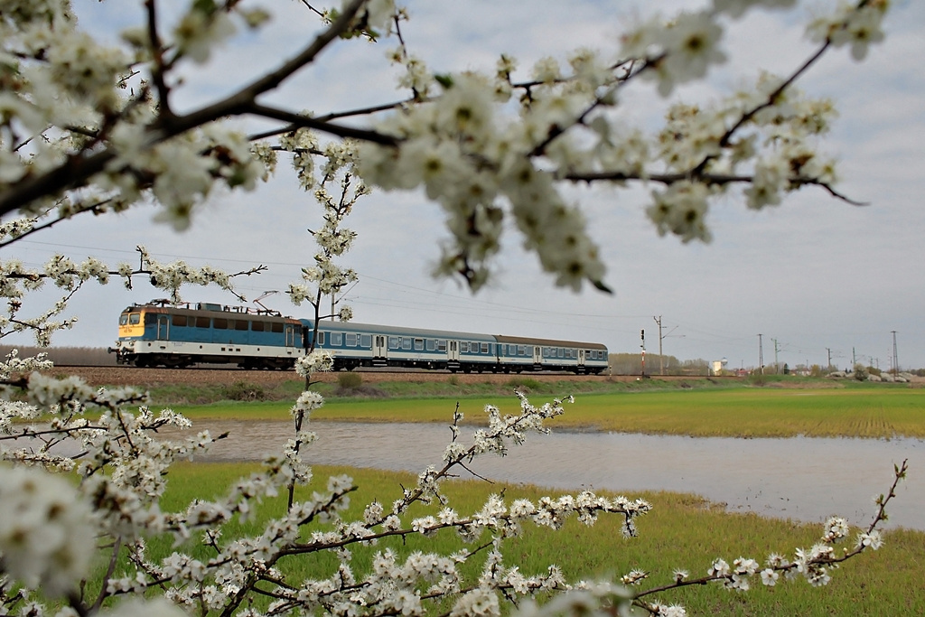 433 159 Dombóvár (2016.04.02).02