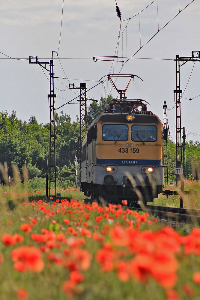 433 159 Dombóvár (2016.06.02)