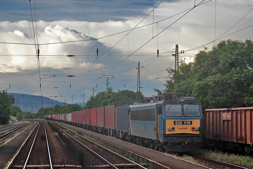 630 016 Nagymaros (2016.06.03).