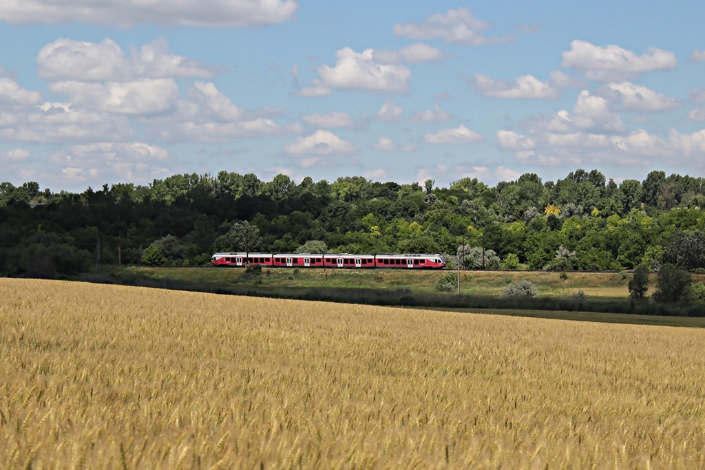 415 016 Herceghalom (2016.06.14)