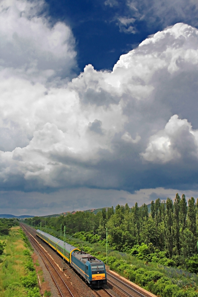 480 014 Budaörs (2016.06.13).01